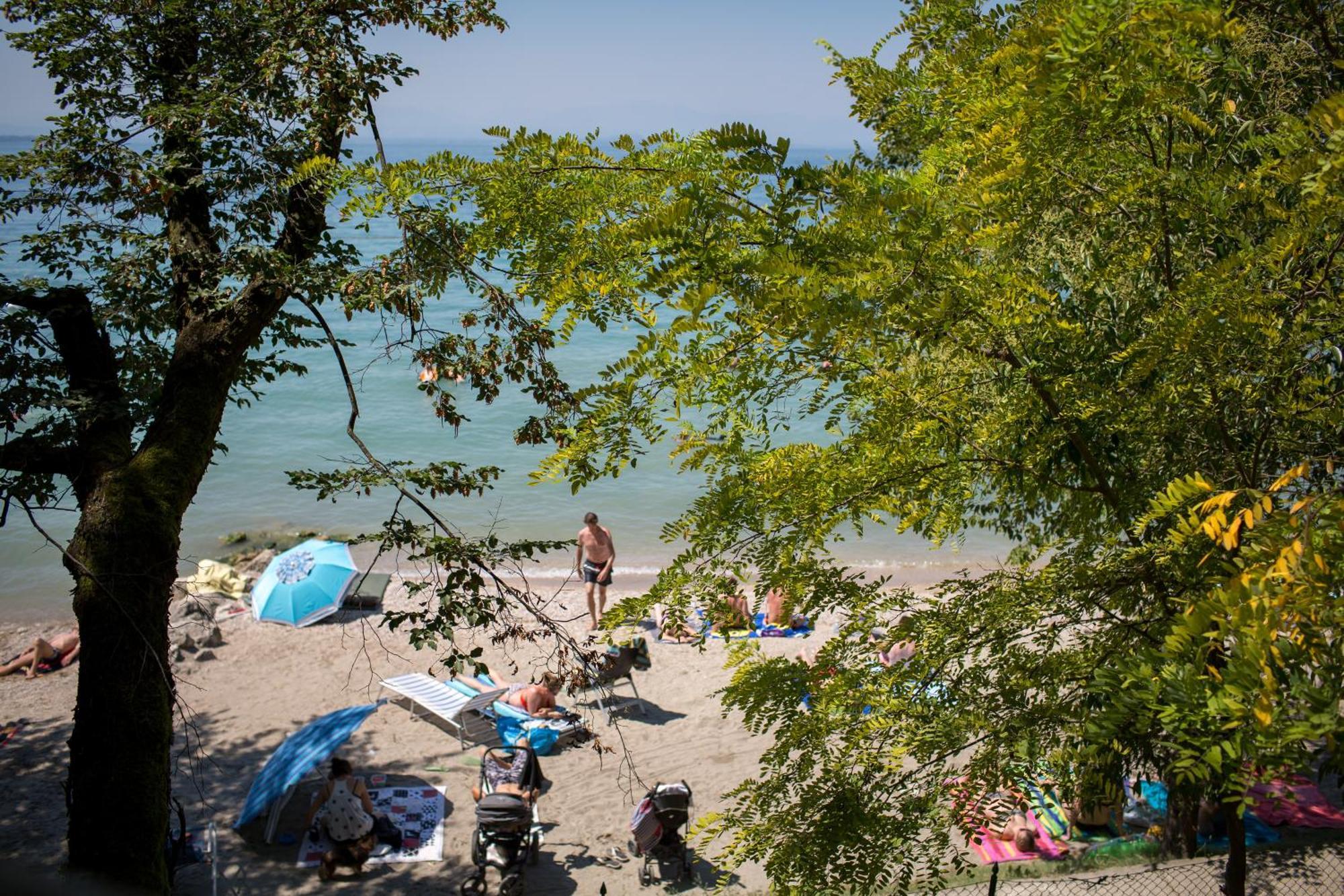 Fossalta Lazise